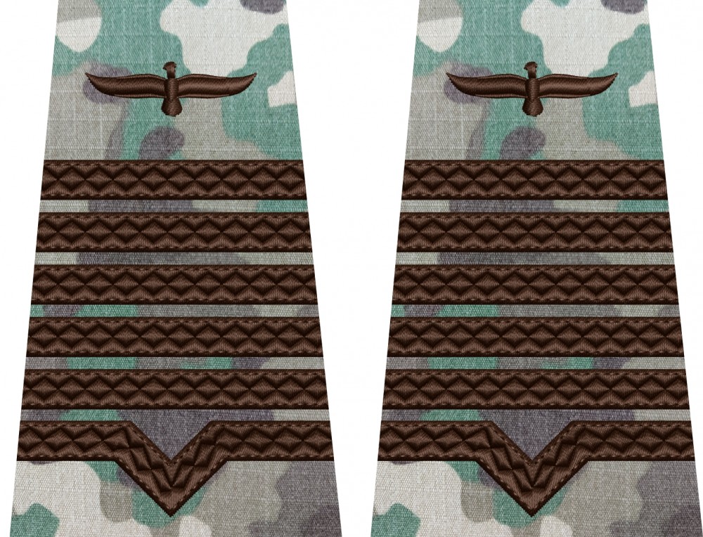 GRADE MAISTRU MILITAR PRINCIPAL COMBAT TERESTRU, SEMN ARMA AVIATIE